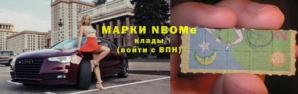 амф Верея
