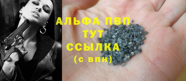 амф Верея