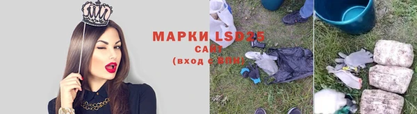 амф Верея