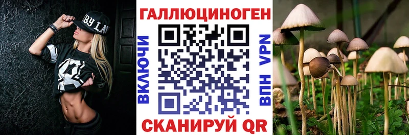 Псилоцибиновые грибы мицелий  хочу наркоту  мега ССЫЛКА  Ворсма 